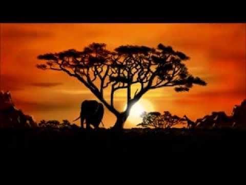 Moody Boyz - Destination Africa