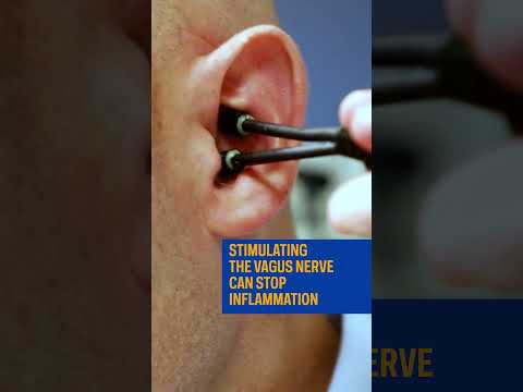 What is the #vagusnerve?