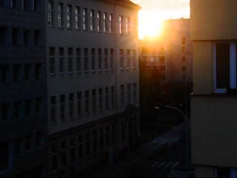 Disconcert. - One fish