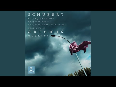 String Quartet No. 14 in D Minor, D. 810 "Death and the Maiden": I. Allegro
