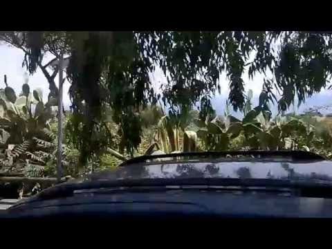 Autobus 140 - Marechiaro - Posillipo - Napoli - Juli 2016