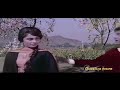 Old Hindi Songs WhatsApp Status Aee Folo Ki Rani Baharo Ki Malika