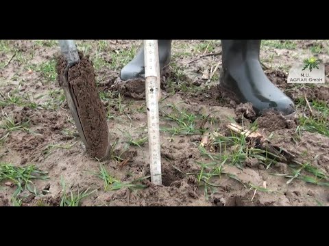 144. Feldexkursion: Nmin-Bodenproben ziehen - NU Agrar, 29.01.2020