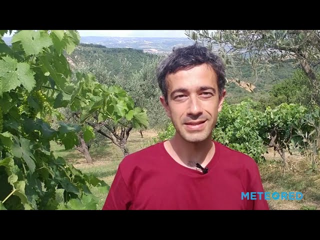 youtube video id=BSzUU-H7nGs