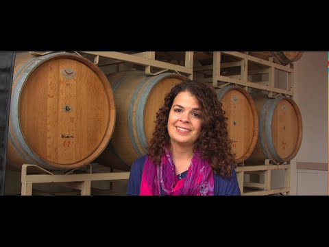 Promotional video thumbnail 2 for Blue Lotus Films