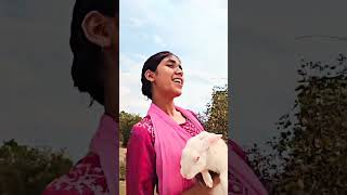 Download lagu old song🎵🎵☺😍❤ Falguni  pathak.. @jyotishreedey0023 @ManojDey  #status #statusvideo mp3