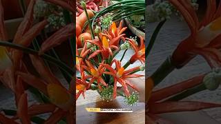 Download lagu Garnish untuk hiasan tumpeng dari cabe besar yang cantik dan menawan mp3 Download lagu Garnish untuk hiasan tumpeng dari cabe besar yang cantik dan menawan mp3