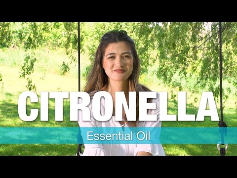 Citronella Essential Oil