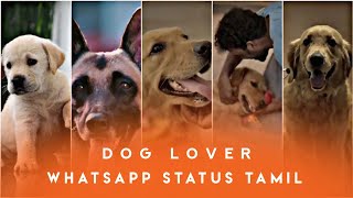 Dog lover whatsapp status tamil || Pet lover  || Dog whatsapp status