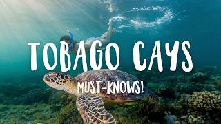 Tobago Cays 2026: Everything Beginners Need to Know