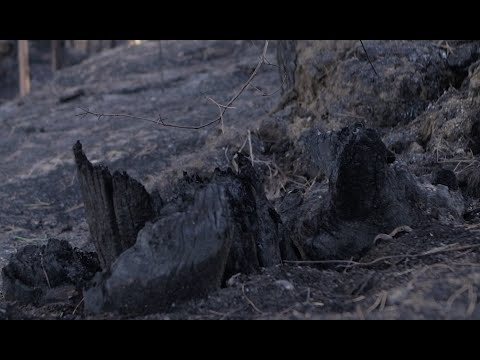 Vídeo: O cambio climático: un fenómeno natural?