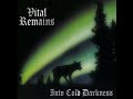 Vital Remains - Into Cold Darkness (1995) [Full Album]