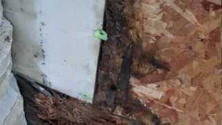 preview picture of video 'Water Damage from bad flashing, Onalaska, WI'