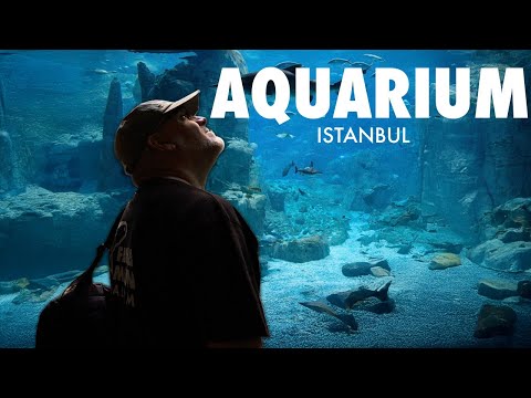 DAS erwartet dich im AQUARIUM ISTANBUL! - Unterwegs mit Claude & Alex