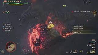 ワイルズやるぞ！　グラビモス周回