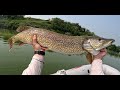 Video Thumbnail for Pike Bound on Buffalo Pound - New (Old) Personal Best!