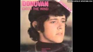 Donovan - Catch the Wind (Instrumental Cover)
