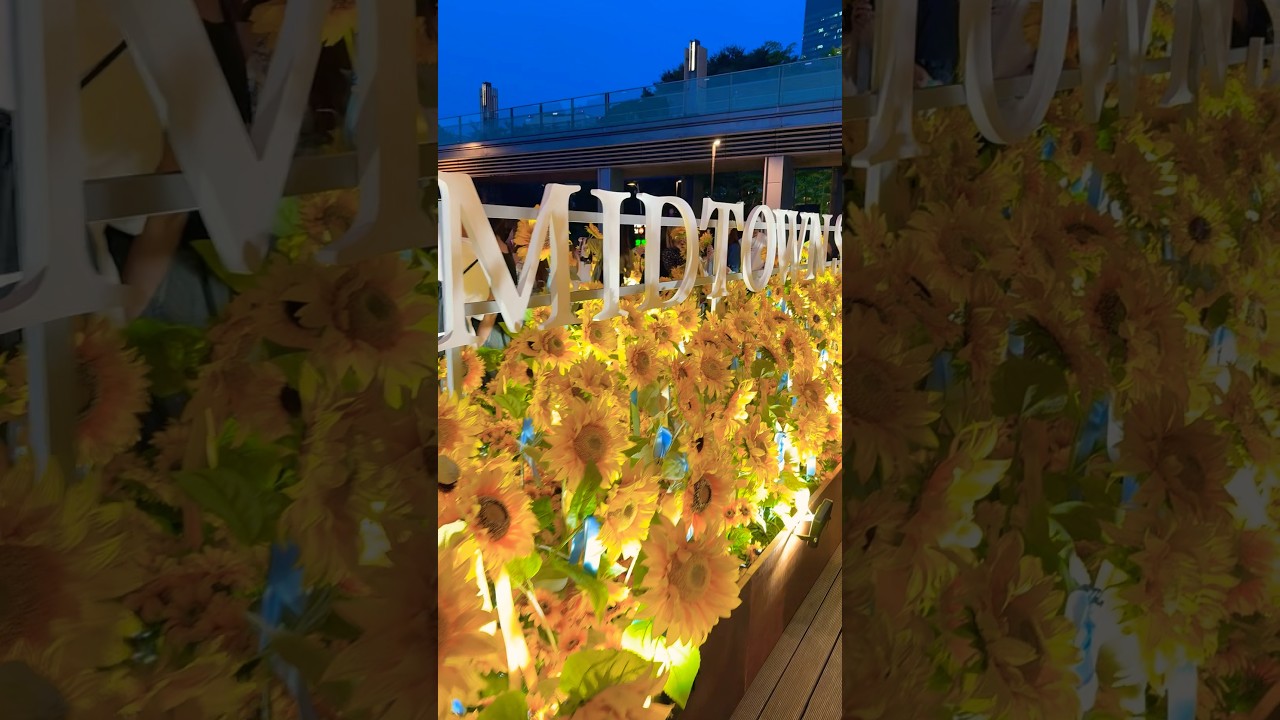 Summer’s beautiful goodbye 🌻