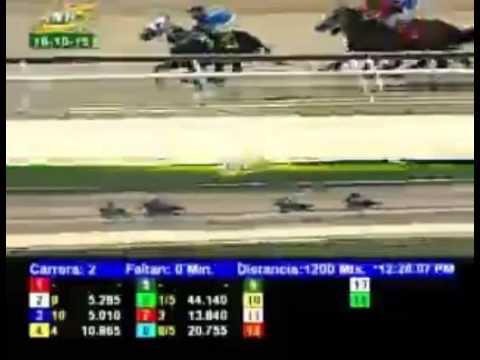 LA RINCONADA 2 CARRERA, DOMINGO 18 DE OCTUBRE DEL 2015