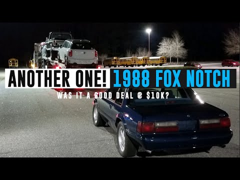 I Bought this 1988 Foxbody Notch for $10k Sight Unseen! TIPS03E09
