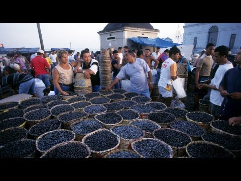 Açai -  wie gesund ist die brasilianische Beere wirklich?