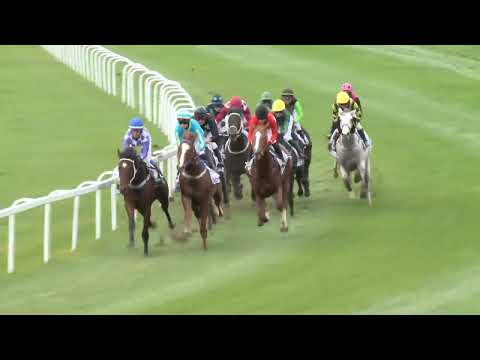 2022.11.06. 04. futam - KEREKES GÁBOR EMLÉKVERSENY - MAGYAR KÉTÉVESEK NAGYDÍJA (Elit kat.)