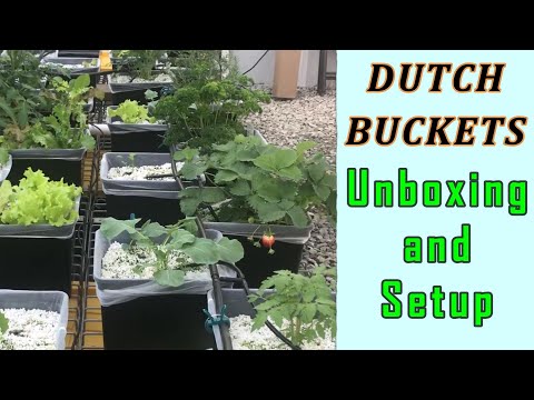 Hydroponic System Unboxing - Dutch/Bato Buckets Complete Setup/Fast and Easy