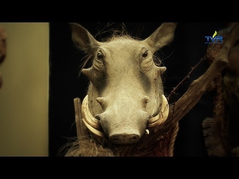 Darz Bór odc. 98 - Hubertus Expo 2014 cz. 2