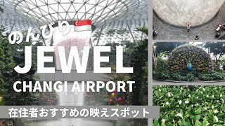 ＜シンガポール観光＞vlog | ジュエルチャンギ空港 / JEWEL Changi Airport / キャノピーパーク & ブリッジ / Canopy Park & Bridge - Day3