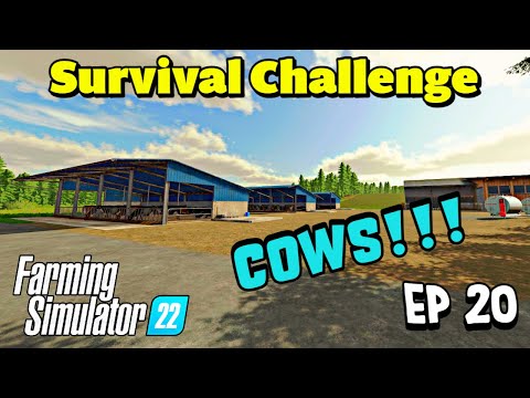 We got Cows and A easy TMR mixer | NML Survival Challenge | Farming Simulator 22 - Episode 20