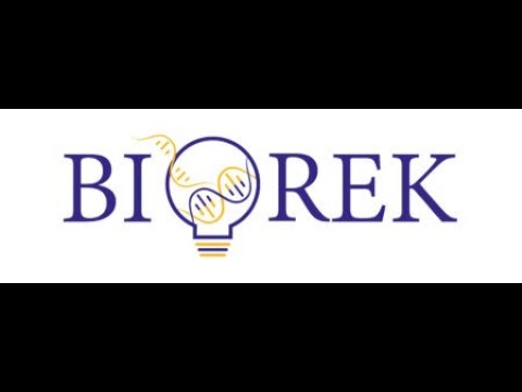 BIOREK Biomarkers for renal cancer