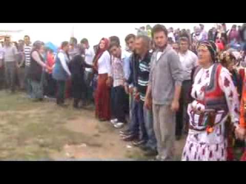 Video 4