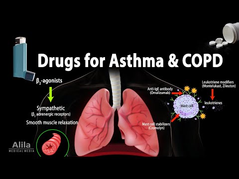 Pharmacology: Drugs for Asthma and COPD, Animation