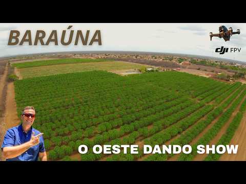 BARAÚNA agricultura forte e progresso no Oeste do RN