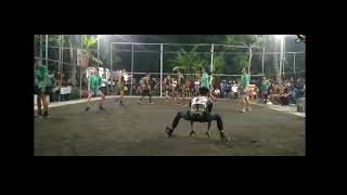 Download lagu Story WA Smash Mbledos mp3 Download lagu Story WA Smash Mbledos mp3