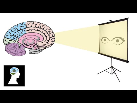 什麼是意識？ (What is consciousness ?)