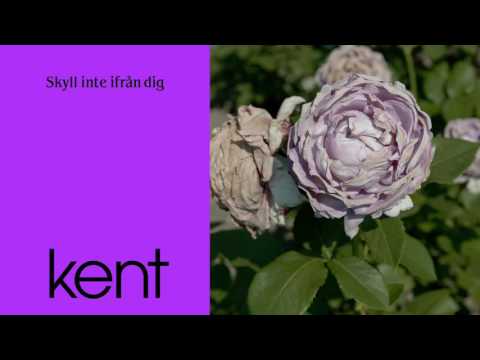 Video thumbnail for Skyll inte ifrån dig