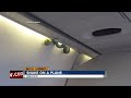 Passengers find snake on plane headed to Mexico City