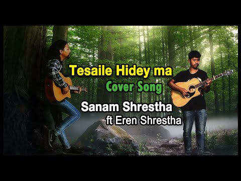 Tesaile Hidey Ma Cover song || Sanam Shrestha ft Eren Shrestha || The Elements || Nepali Song ||