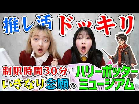【ドッキリ】いきなり念願のハリーポッターミュージアムに連れて行ったら - はねまりチャンネル