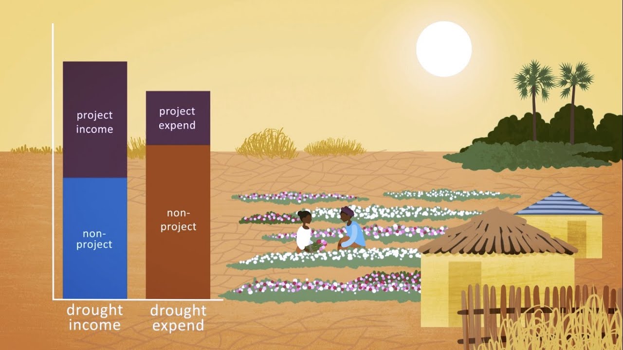 HEA and Resilience Program Planning - FEG