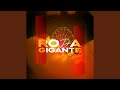 Roda Gigante