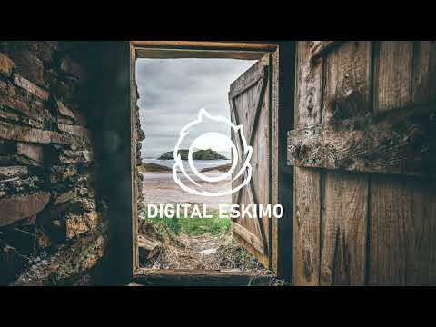 Digital Eskimo - I Could Use Your Helping Hand