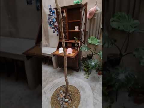 Grind.JB Rustic Café Johor Bahru Theme Café 🇲🇾 Grind.JB Rustic Café Taman Sentosa