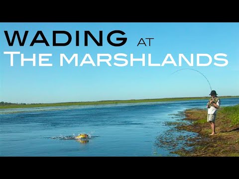 Wading the Ibera Marshlands at Pirá Lodge