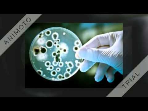 Paige Olson, The Great Influenza