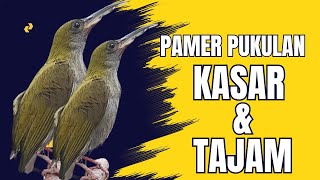 Download lagu PANCINGAN PIJANTUNG GUNUNG AGAR CEPAT GACOR mp3