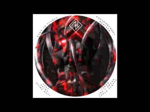 Born in Flamez  - The Coming Insurrection (Paula Temple remix)