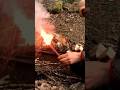 Emergency Road Flare Fire