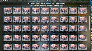 I spent $674 on Dreams and Nightmares Cases